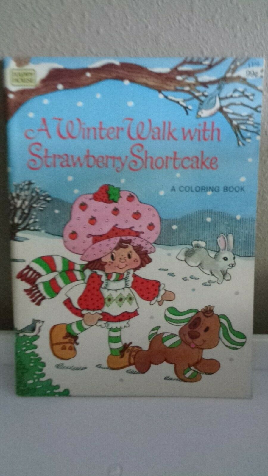 Vintage Strawberry Shortcake A Winter Walk With... Coloring Book Unused 1981