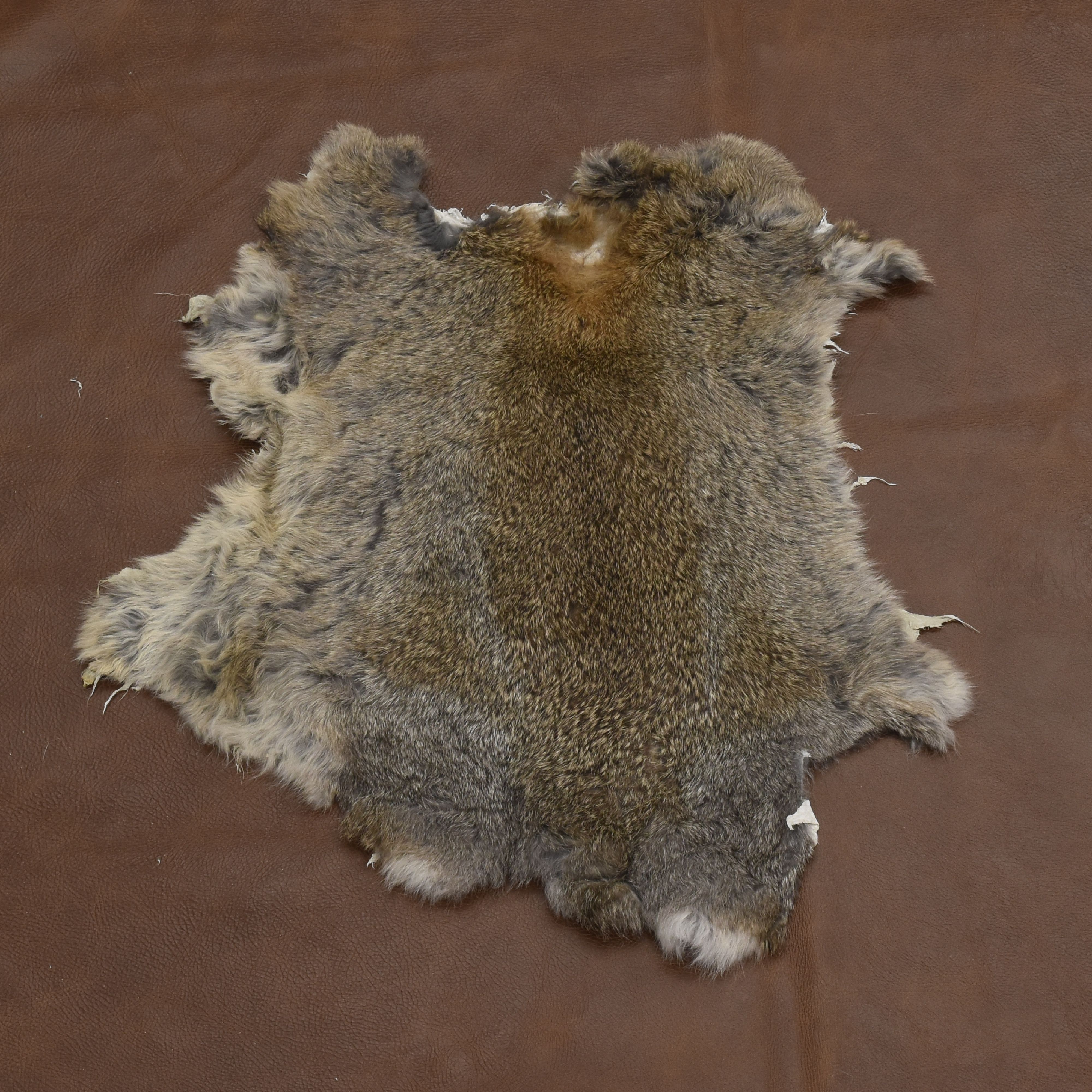 Rabbit Fur Pelt Natural Assorted Earth Tones Single Hide