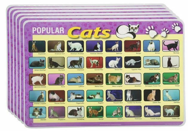 M. Ruskin Company Educational And Fun Popular Cats Placemat Set Of 6